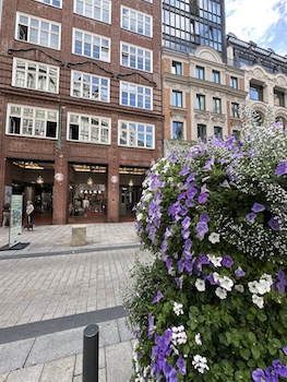 Die Hamburger Sommer Büros im Hanse-Viertel 2026