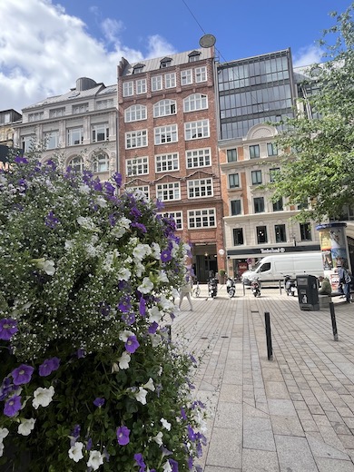 Die Hamburger Sommergaerten im Hanse-Viertel 2026